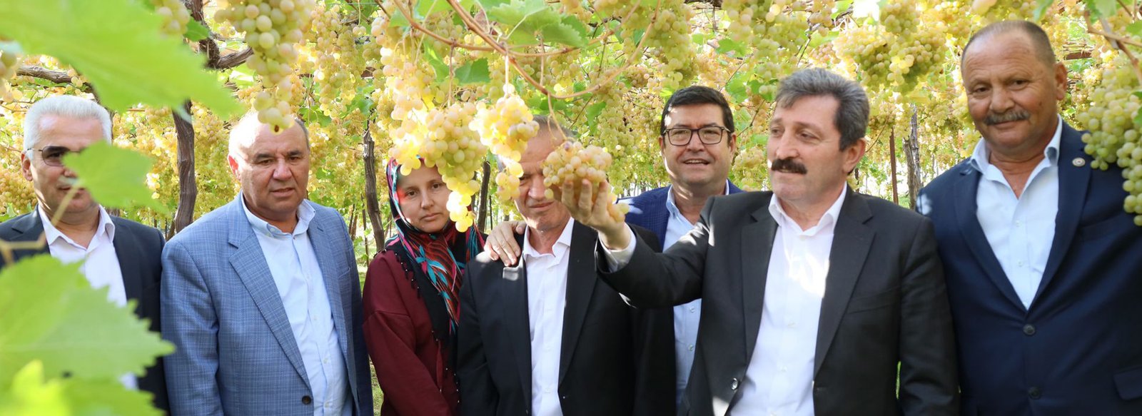 Üzümler Gelin Oldu! - Muğla'daki Bağ Bozumu Şenliği